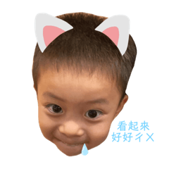 睿哥睿哥