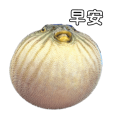 釣餘