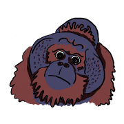 Cute and Sweet Animals