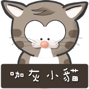 Mr Grey Little Cat with TC