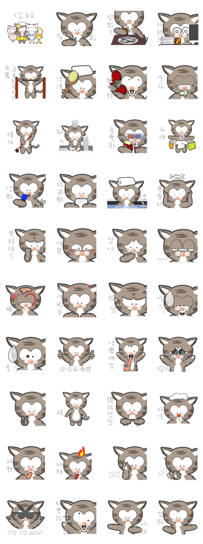 Mr Grey Little Cat with TC