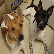 Jill Jill and Jake Jake 1