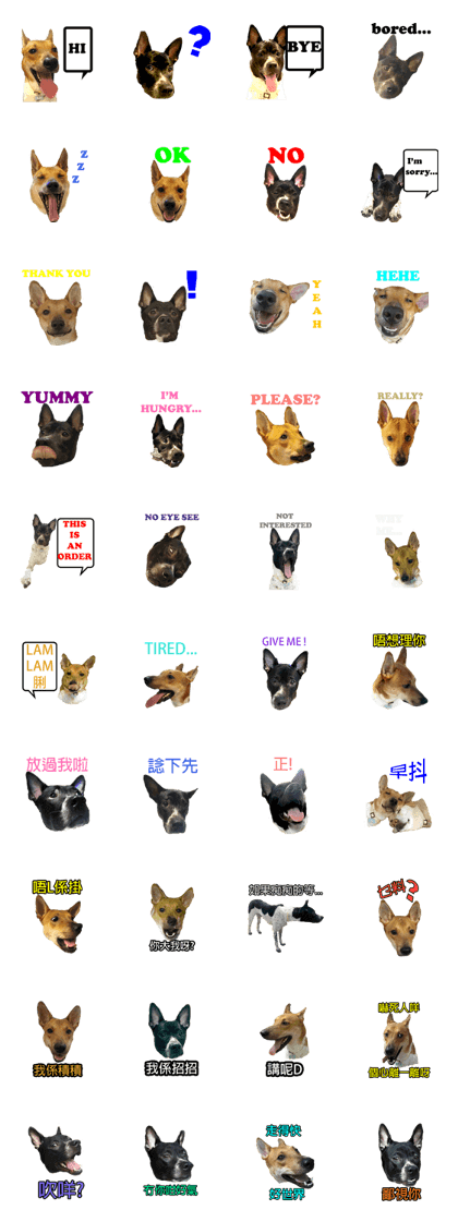 Jill Jill and Jake Jake 1