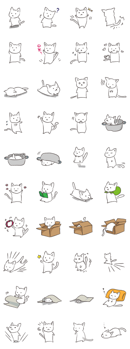 The daily routine of a white cat The daily routine of a white cat