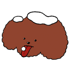 Muffin Poodle in Winter