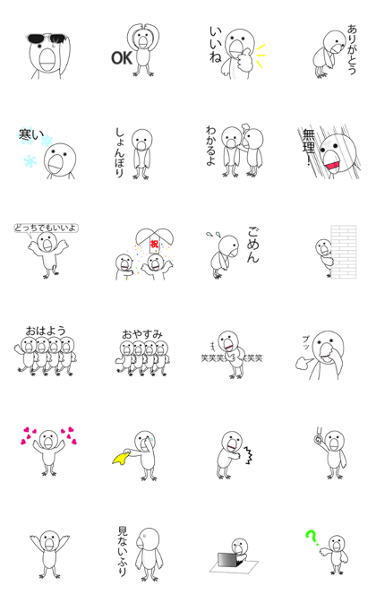 Funny java sparrow Funny java sparrow