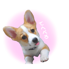 omochi_20201121040946