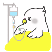 Snow goes to the hospital Snow goes to the hospital