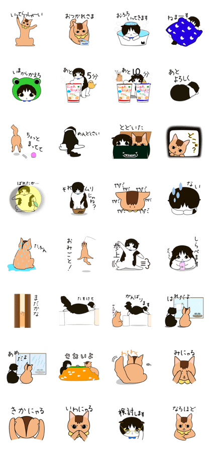 CHAIRO and SHIROKURO2