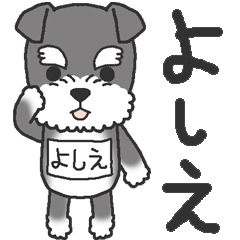 Dog with a bib of the name called Yoshie