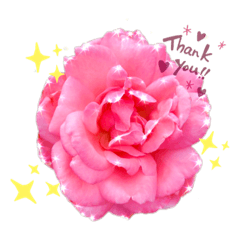nanana_20201121125126