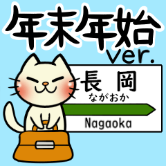 The happy holidays cat in Niigata