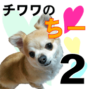 Chihuahua no CHI 2