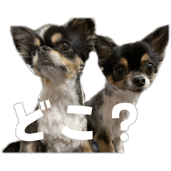 haruna_20201121123751