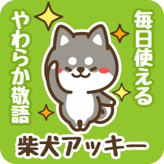 Petit Black Shiba Akkii (Honorific)