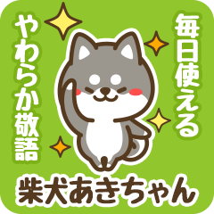 Petit Black Shiba Akichan (Honorific)