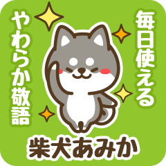 Petit Black Shiba Amika (Honorific)