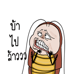 Mr.P-the fly do not like