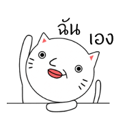 ultra high speed motion cat THAI