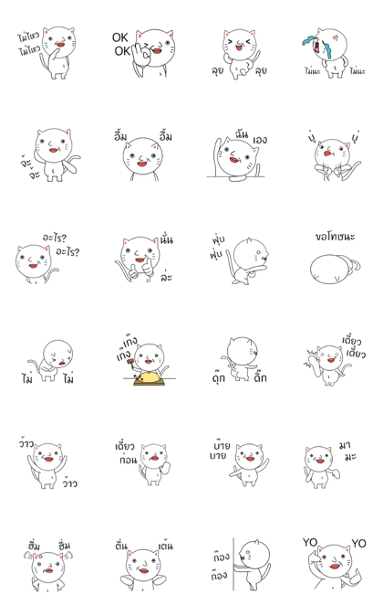 ultra high speed motion cat THAI