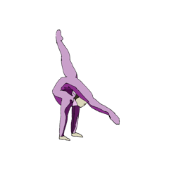 The contortion