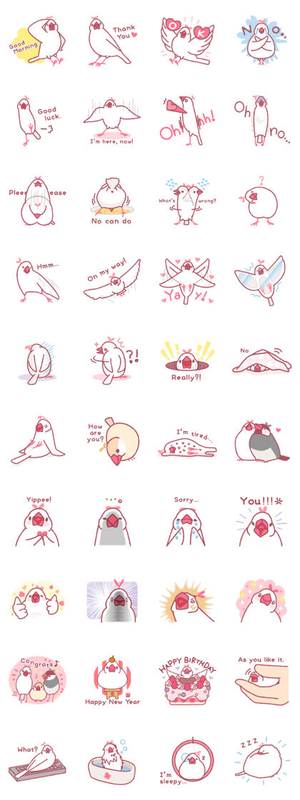 Java sparrow bird with plant -English-