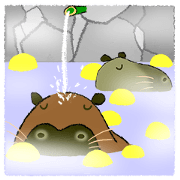 a capybara and its neighbors(is & sleep)