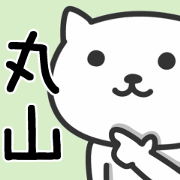 Cat for MARUYAMA