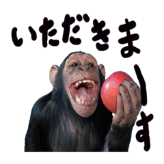 Chimpanzee Sticker2