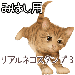 Mihashi Real pretty cats 3