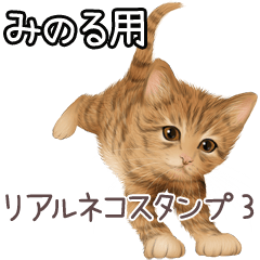 Minoru Real pretty cats 3 – สติกเกอร์ LINE | LINE STORE
