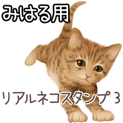 Miharu Real pretty cats 3