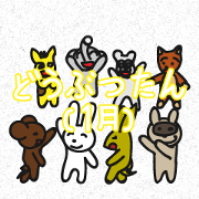 animal story(January)