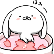 inukoro-san in spring