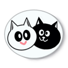 Cute Black and white cats