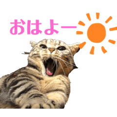 saya_20201121225831