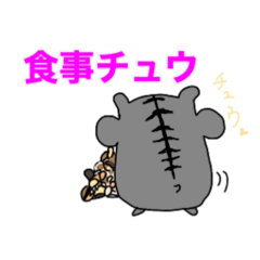 Koko_20201122020059
