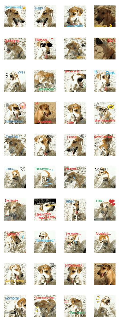 Dog maruo everydays Photo sticker