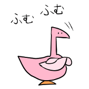 Lots of colorful birds