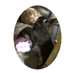 Yukari_20201121224749