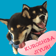 KUROSHIBA JIYURI photo 2