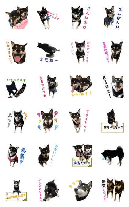 KUROSHIBA JIYURI photo 2