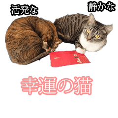 Cat slaves necessary(Japanese)