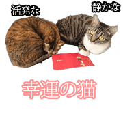 Cat slaves necessary(Japanese)