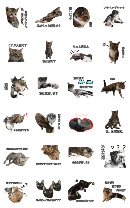 Cat slaves necessary(Japanese)