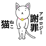 The Apology CAT The Apology CAT