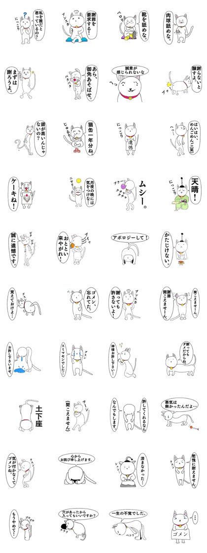 The Apology CAT The Apology CAT