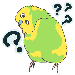 mochi-huwa Parakeet