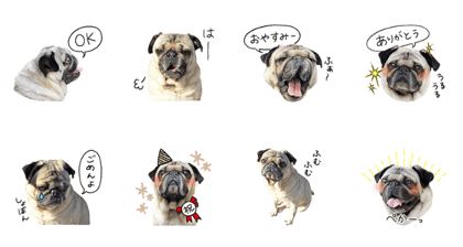 MAME*PUG
