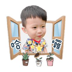 小肉丸頡寶的日常生活